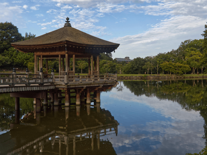 Kyoto to Nara Private Car Tour with a Local Guide