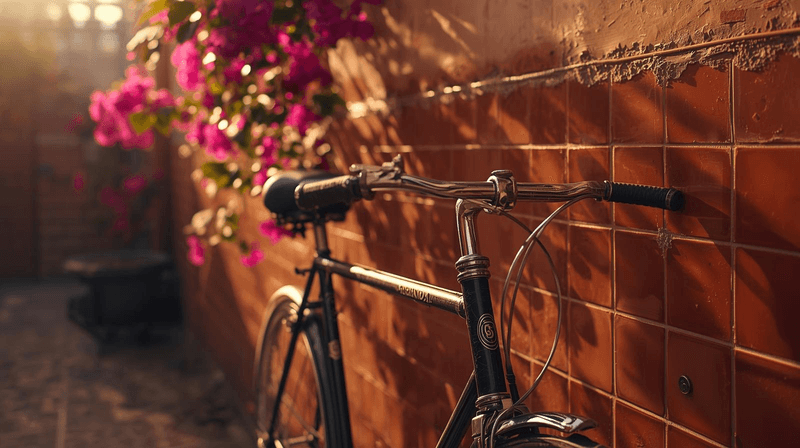 Highlights E-bike Private tour With A Bike