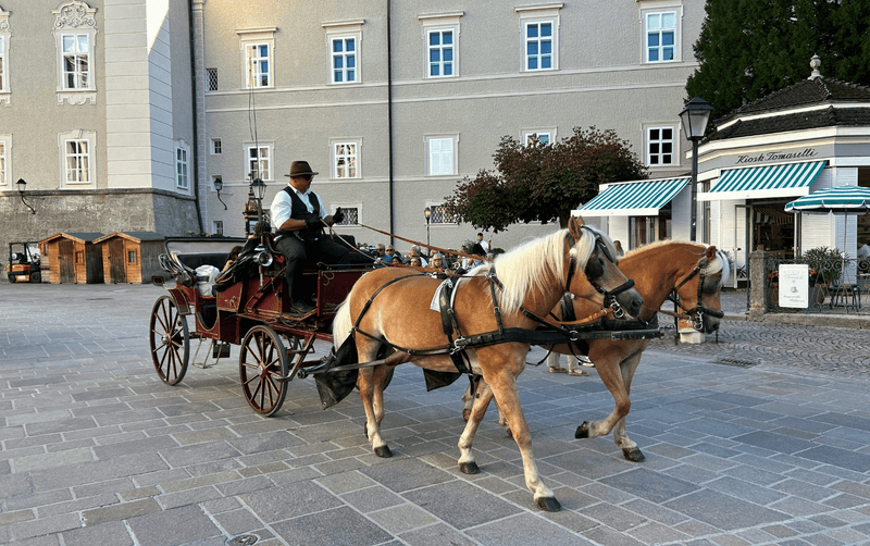 Salzburgo: Tour privado a pie por los lugares más destacados