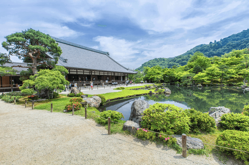 Small Group Tour Arashiyama, Bamboo & Monkey Forest