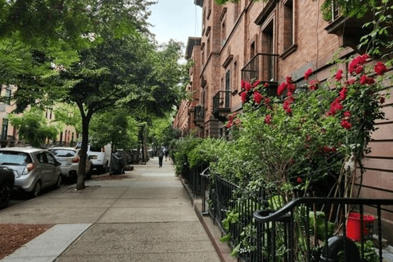 Tour a Pie por Harlem con Guía