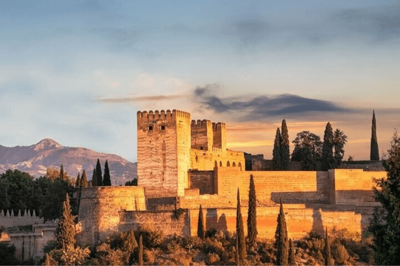 Tour privado de la Alhambra y los Palacios Nazaríes con guía oficial