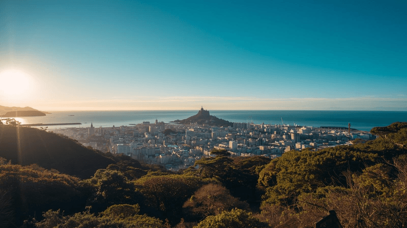 Excursión privada a Enoshima desde Tokio en transporte público